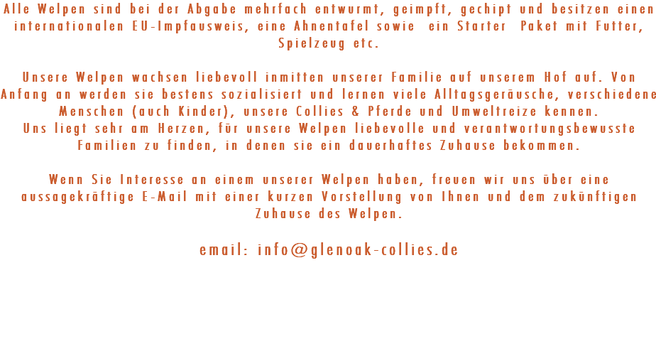 Alle Welpen sind bei der Abgabe mehrfach entwurmt, geimpft, gechipt und besitzen einen internationalen EU-Impfausweis, eine Ahnentafel sowie ein Starter Paket mit Futter, Spielzeug etc. Unsere Welpen wachsen liebevoll inmitten unserer Familie auf unserem Hof auf. Von Anfang an werden sie bestens sozialisiert und lernen viele Alltagsgeräusche, verschiedene Menschen (auch Kinder), unsere Collies & Pferde und Umweltreize kennen. Uns liegt sehr am Herzen, für unsere Welpen liebevolle und verantwortungsbewusste Familien zu finden, in denen sie ein dauerhaftes Zuhause bekommen. Wenn Sie Interesse an einem unserer Welpen haben, freuen wir uns über eine aussagekräftige E-Mail mit einer kurzen Vorstellung von Ihnen und dem zukünftigen Zuhause des Welpen. email: info@glenoak-collies.de