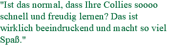 "Ist das normal, dass Ihre Collies soooo schnell und freudig lernen? Das ist wirklich beeindruckend und macht so viel Spaß."