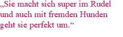 „Sie macht sich super im Rudel und auch mit fremden Hunden geht sie perfekt um.“
