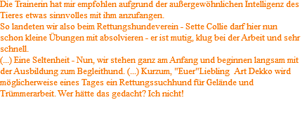 Die Trainerin hat mir empfohlen aufgrund der außergewöhnlichen Intelligenz des Tieres etwas sinnvolles mit ihm anzufangen. So landeten wir also beim Rettungshundeverein - Sette Collie darf hier nun schon kleine Übungen mit absolvieren - er ist mutig, klug bei der Arbeit und sehr schnell. (...) Eine Seltenheit - Nun, wir stehen ganz am Anfang und beginnen langsam mit der Ausbildung zum Begleithund. (...) Kurzum, "Euer"Liebling Art Dekko wird möglicherweise eines Tages ein Rettungssuchhund für Gelände und Trümmerarbeit. Wer hätte das gedacht? Ich nicht! 