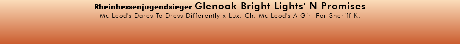 Rheinhessenjugendsieger Glenoak Bright Lights' N Promises Mc Leod's Dares To Dress Differently x Lux. Ch. Mc Leod's A Girl For Sheriff K. 