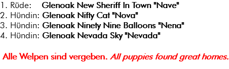 1. Rüde: Glenoak New Sheriff In Town "Nave" 2. Hündin: Glenoak Nifty Cat "Nova" 3. Hündin: Glenoak Ninety Nine Balloons "Nena" 4. Hündin: Glenoak Nevada Sky "Nevada" Alle Welpen sind vergeben. All puppies found great homes.