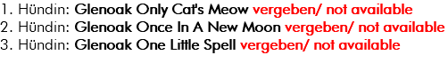 1. Hündin: Glenoak Only Cat's Meow vergeben/ not available 2. Hündin: Glenoak Once In A New Moon vergeben/ not available 3. Hündin: Glenoak One Little Spell vergeben/ not available 
